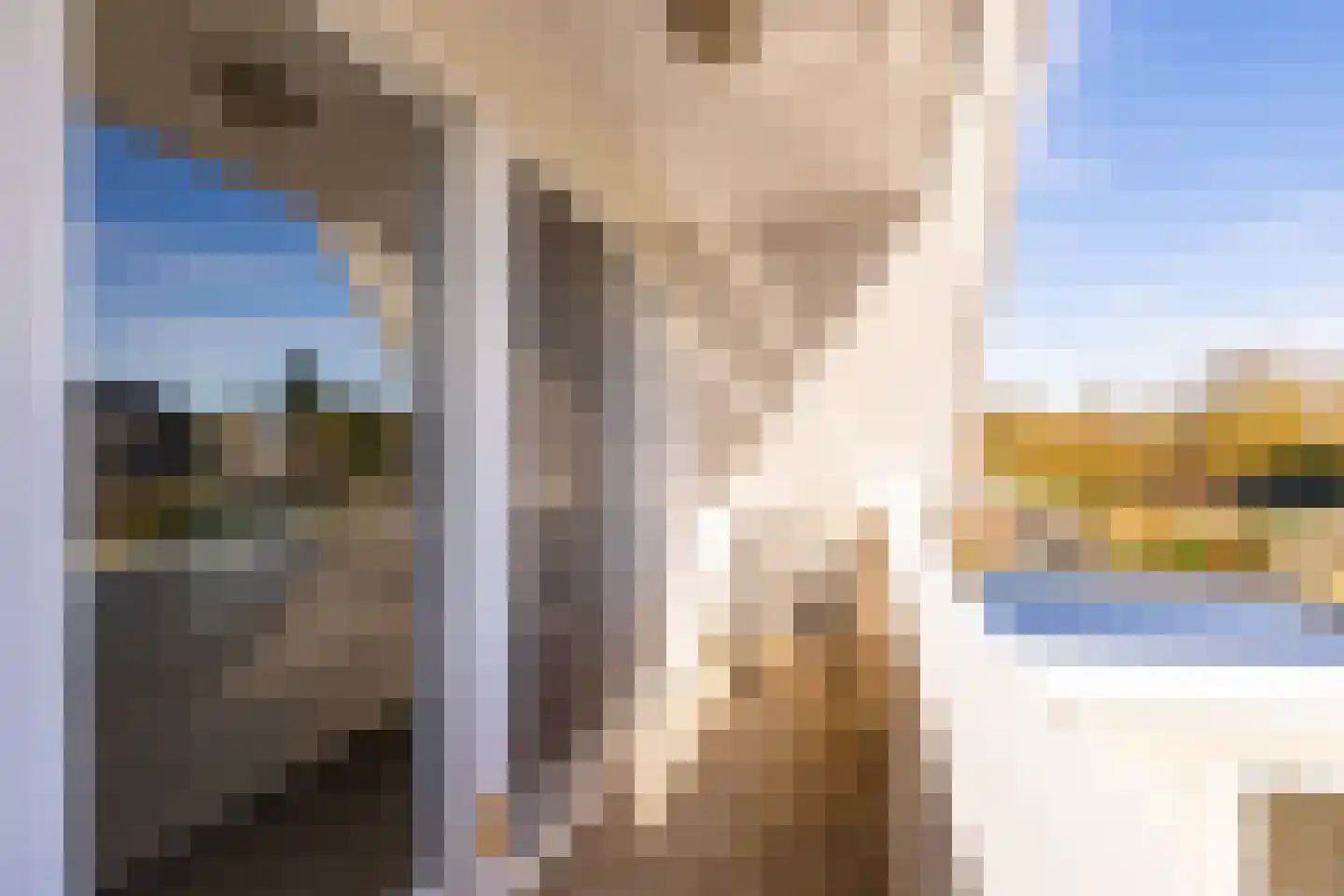 Dotterbloem 29 Hoogeveen thumbnail 27