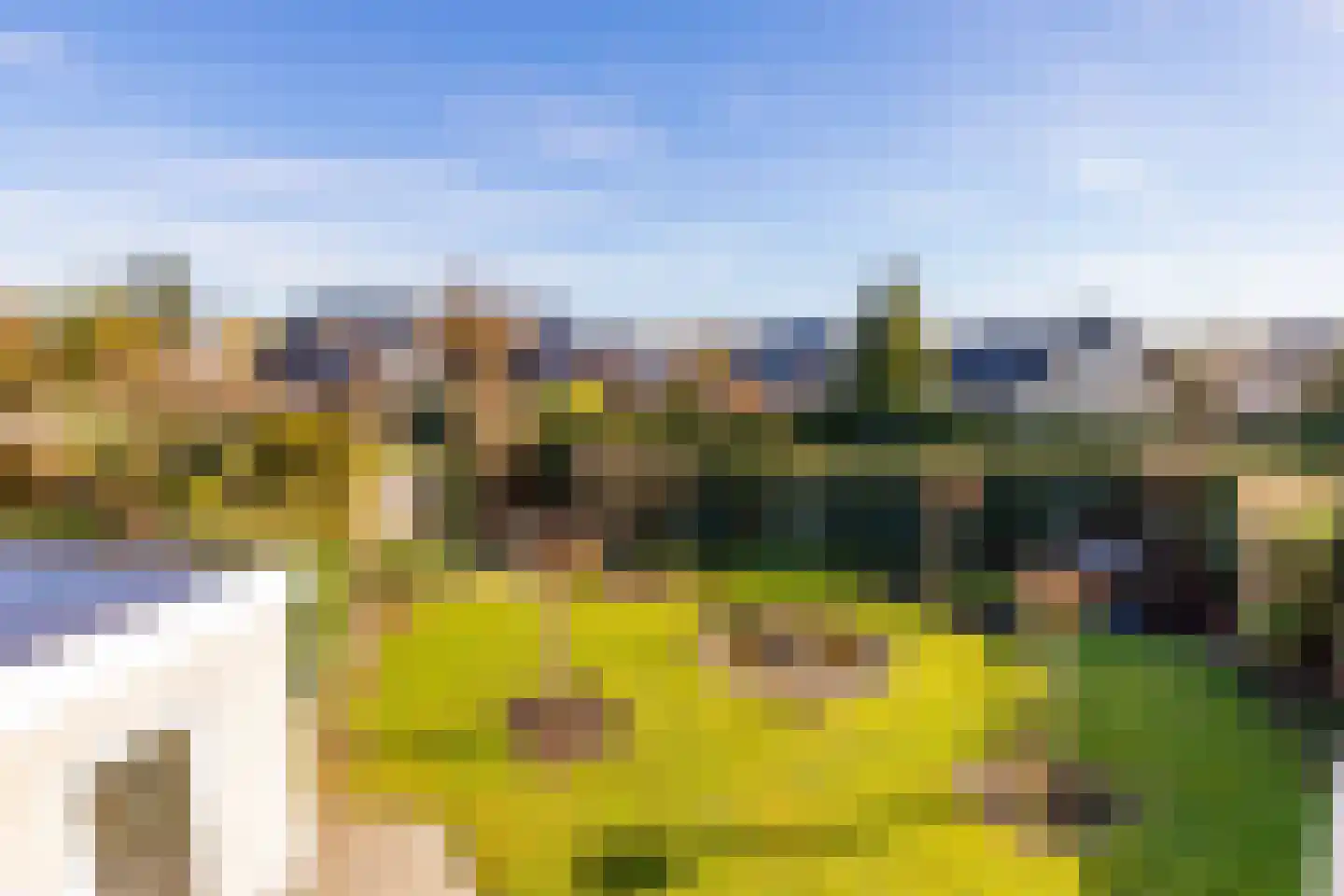Dotterbloem 29 Hoogeveen thumbnail 28