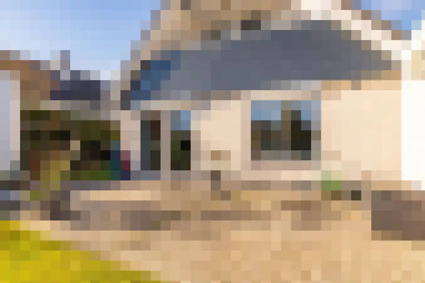 Dotterbloem 29 Hoogeveen thumbnail 43