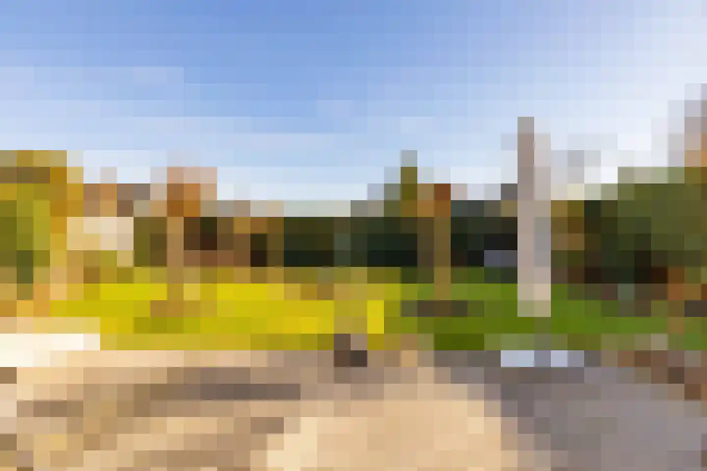 Dotterbloem 29 Hoogeveen thumbnail 45