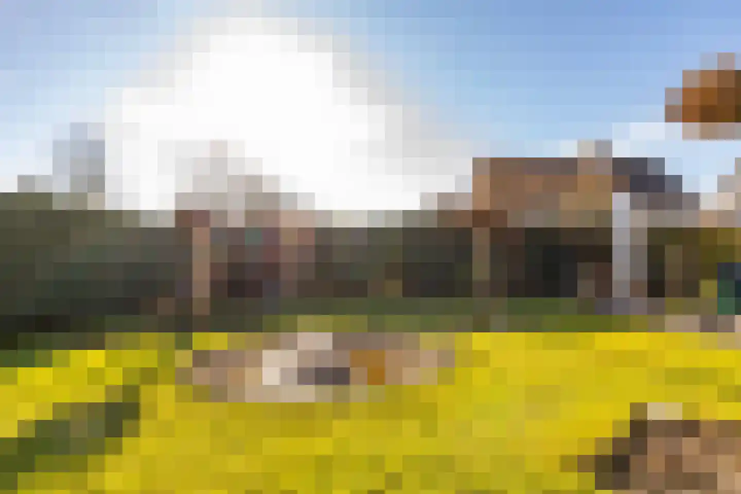 Dotterbloem 29 Hoogeveen thumbnail 46