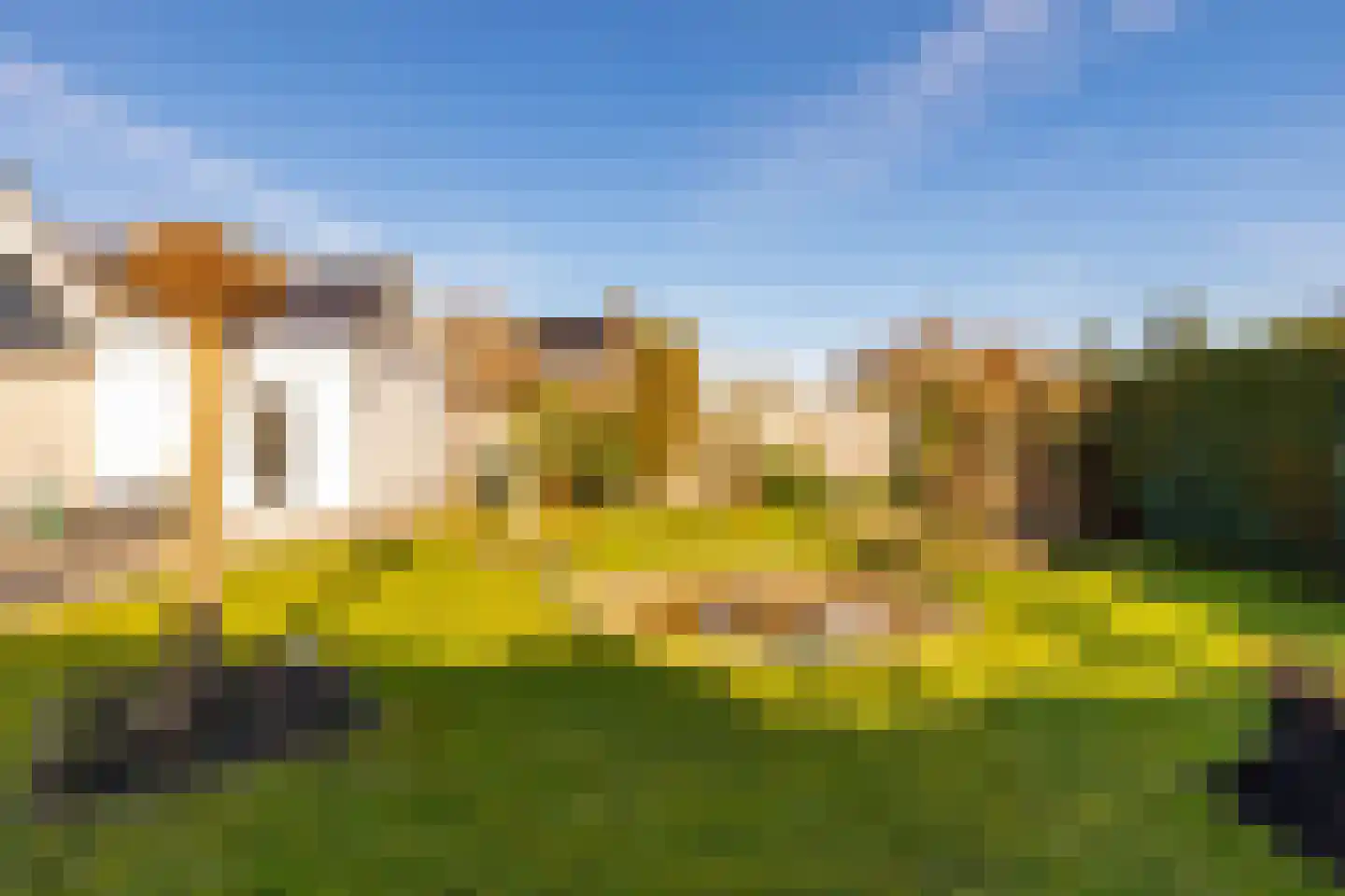 Dotterbloem 29 Hoogeveen thumbnail 47