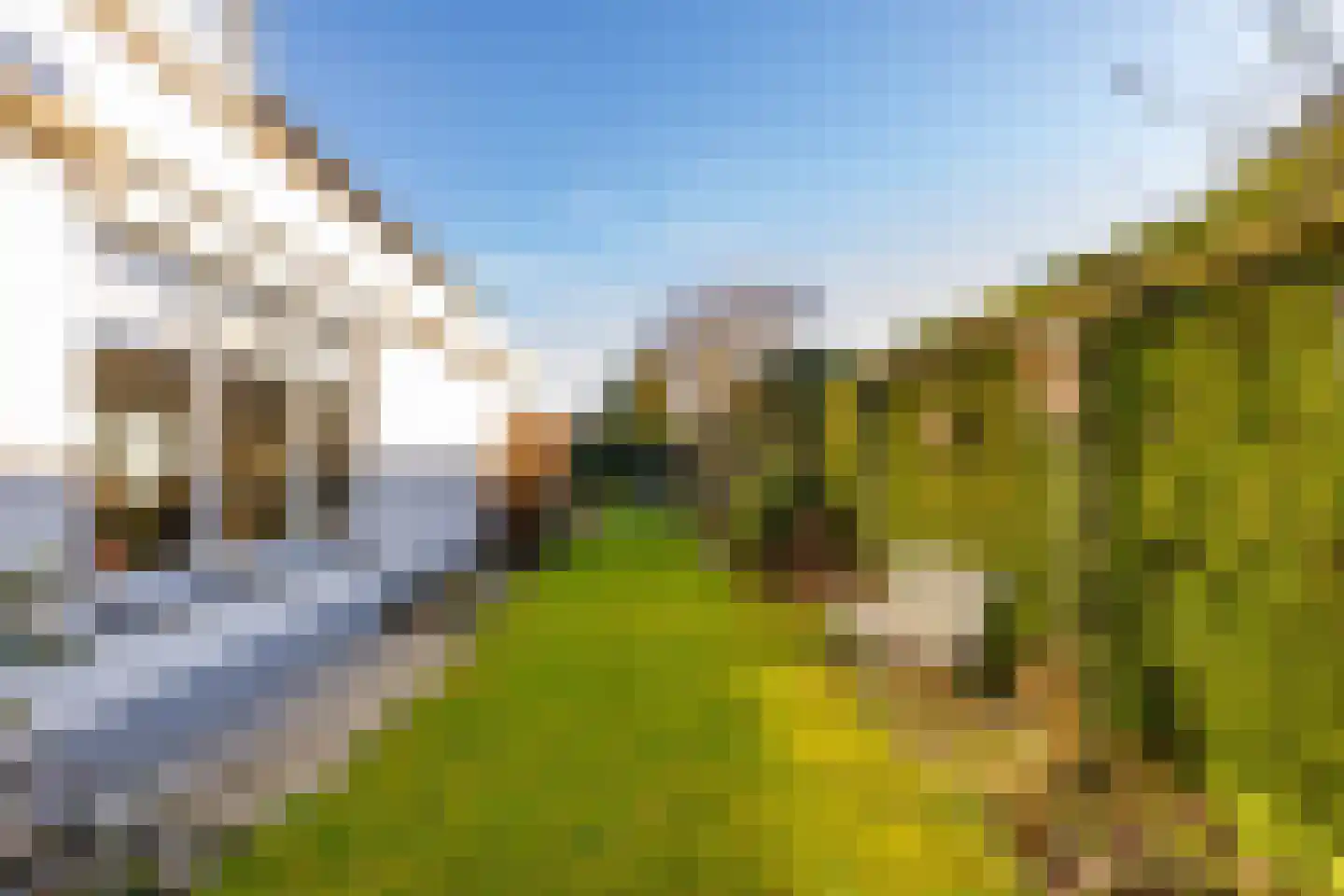 Dotterbloem 29 Hoogeveen thumbnail 48