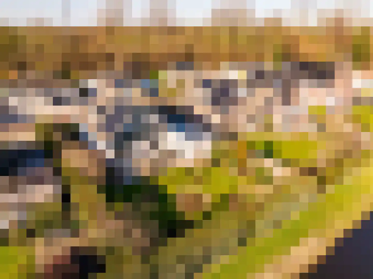 Dotterbloem 29 Hoogeveen thumbnail 49
