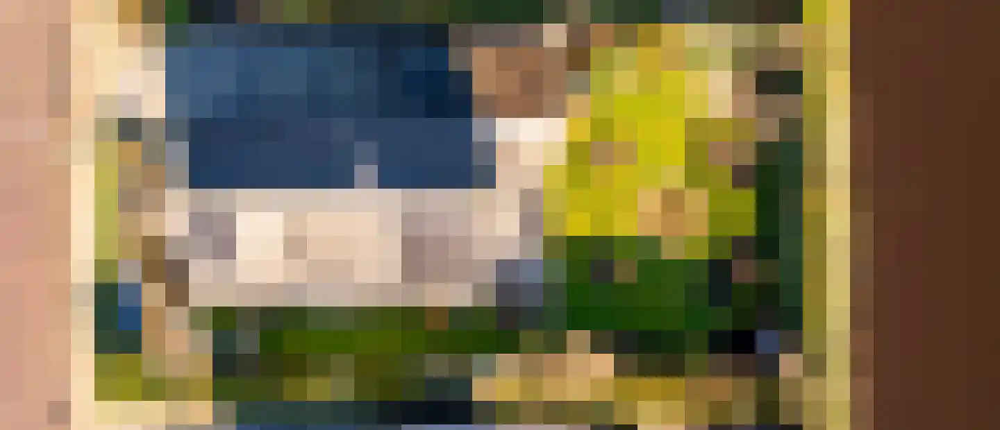 Dotterbloem 29 Hoogeveen thumbnail 50