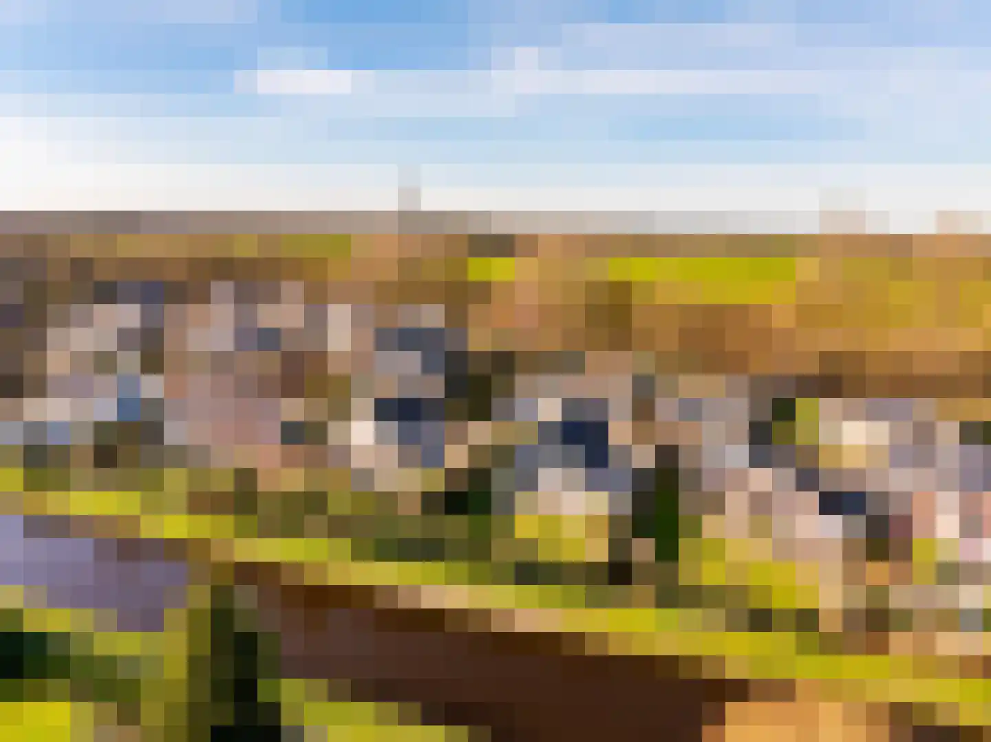 Dotterbloem 29 Hoogeveen thumbnail 55