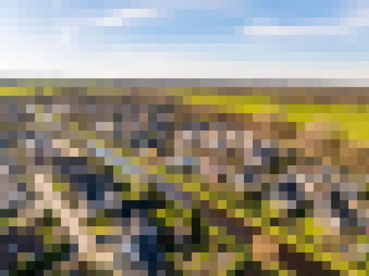 Dotterbloem 29 Hoogeveen thumbnail 56