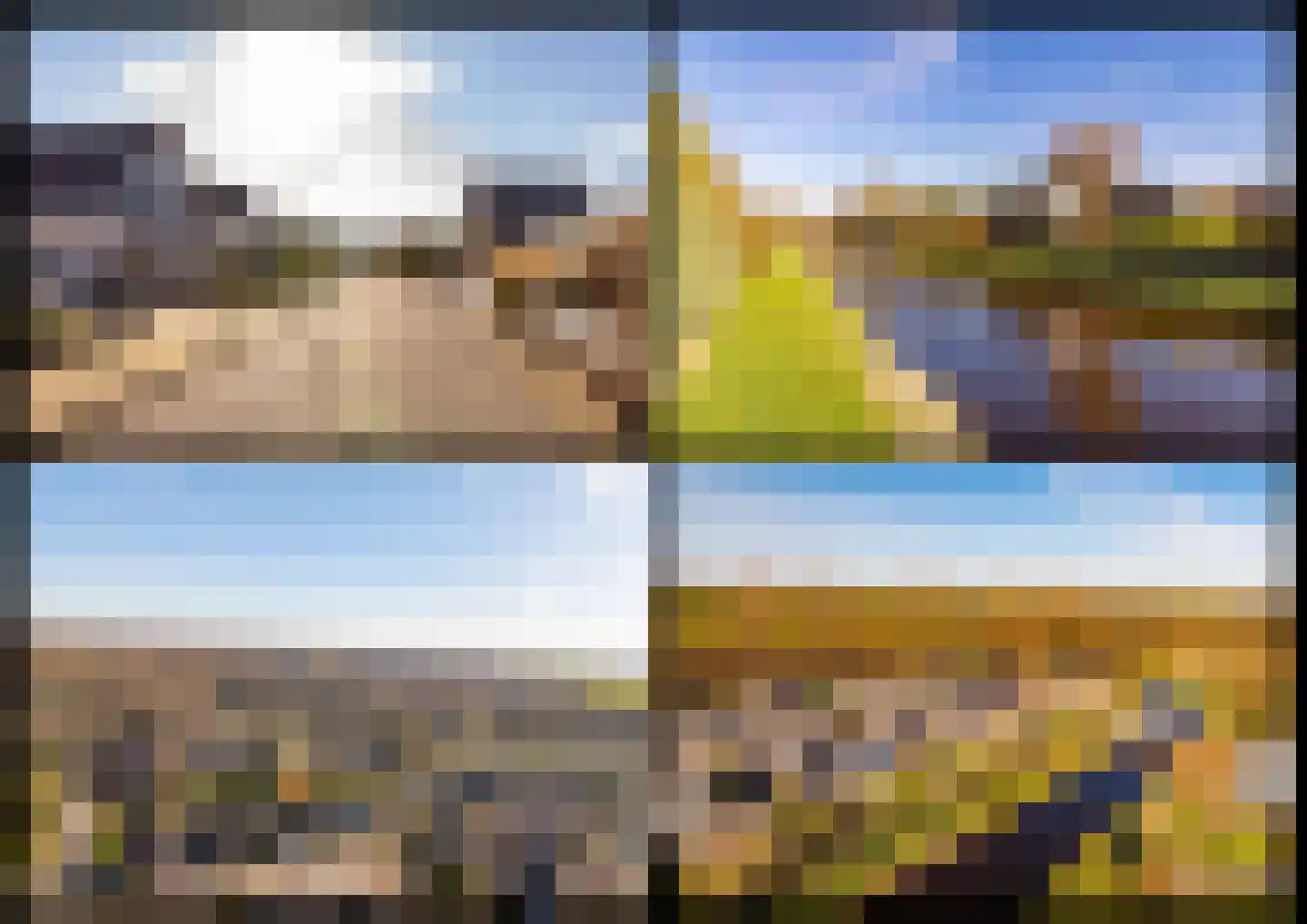 Dotterbloem 29 Hoogeveen thumbnail 58