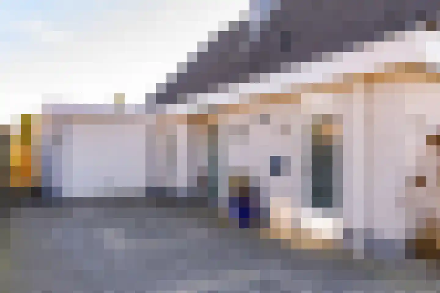 Dotterbloem 29 Hoogeveen thumbnail 6