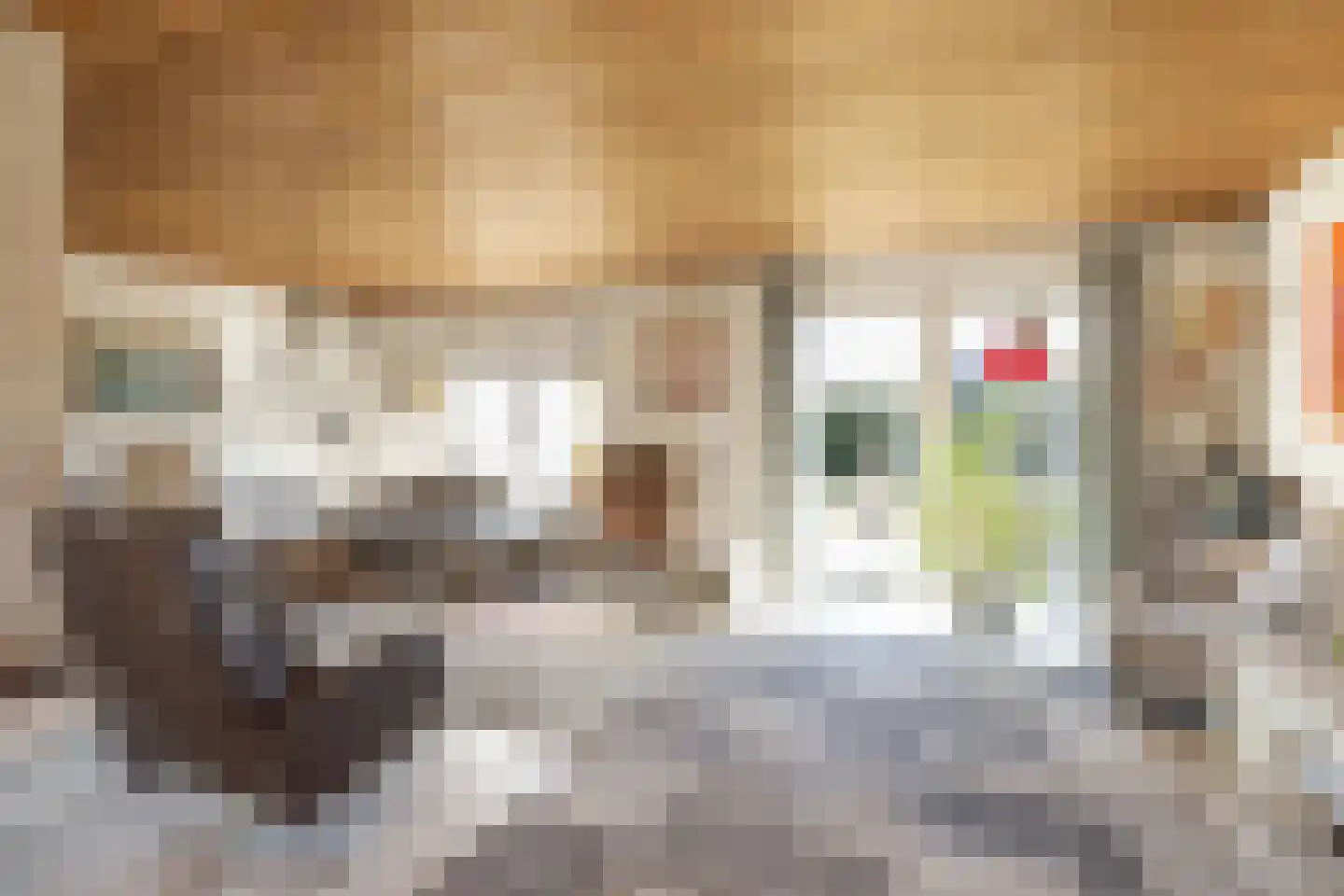 Dotterbloem 29 Hoogeveen thumbnail 9