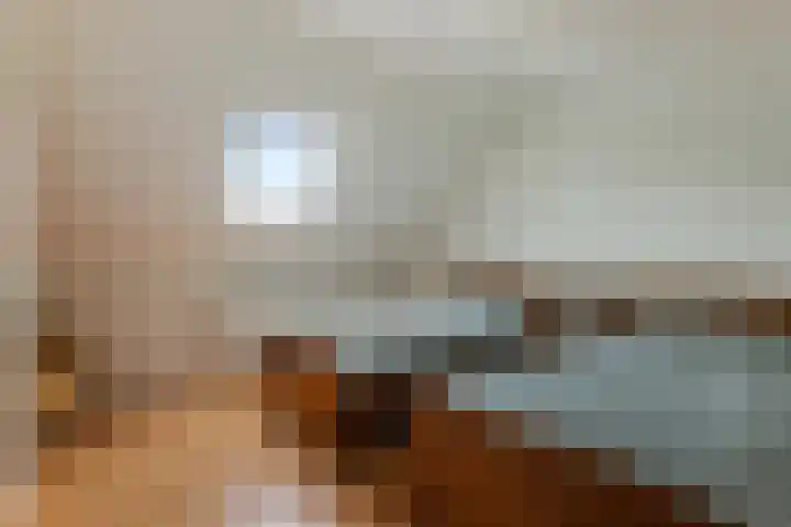 Dotterbloem 33 Scheemda thumbnail 22