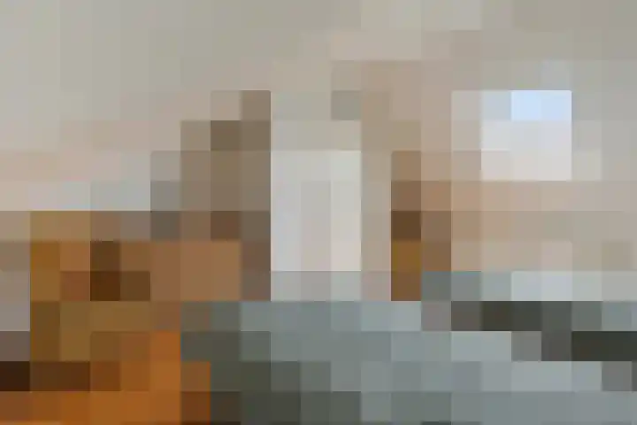 Dotterbloem 33 Scheemda thumbnail 23