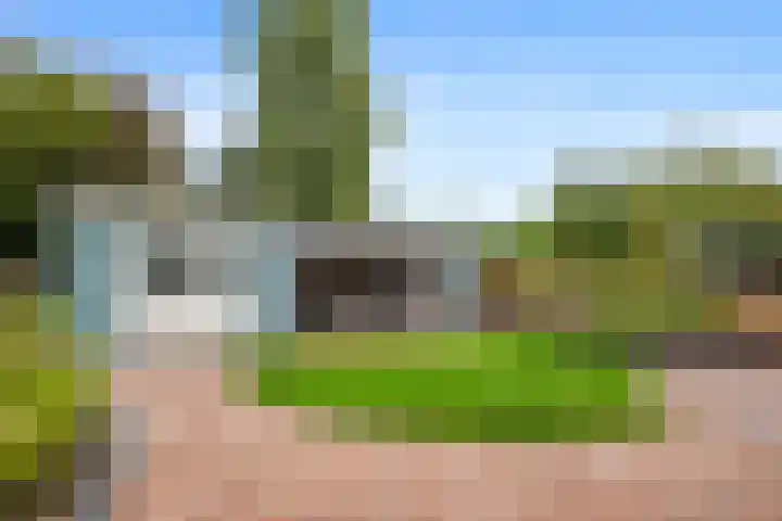 Dotterbloem 33 Scheemda thumbnail 25