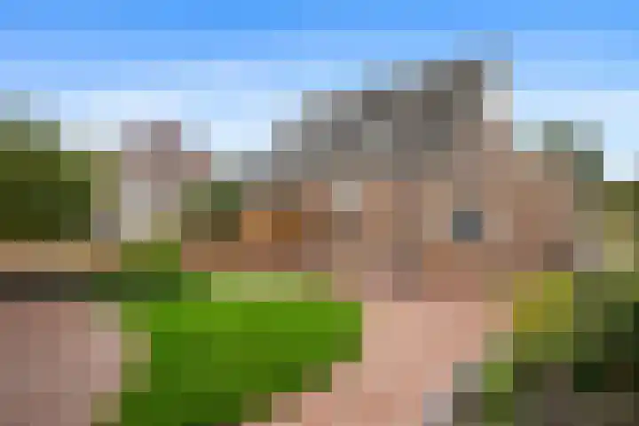 Dotterbloem 33 Scheemda thumbnail 26