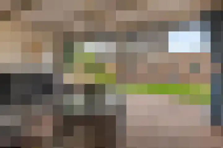 Dotterbloem 33 Scheemda thumbnail 30
