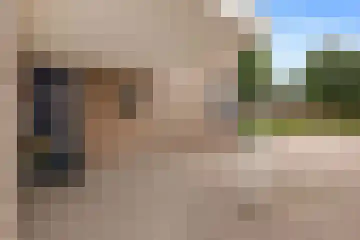 Dotterbloem 33 Scheemda thumbnail 31