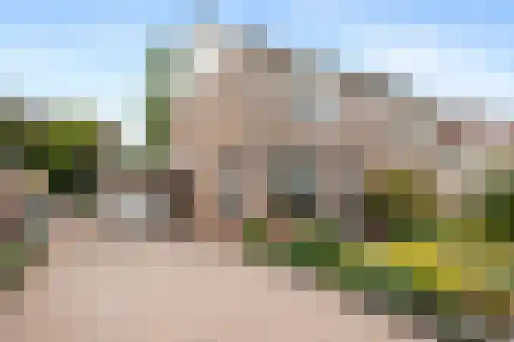 Dotterbloem 33 Scheemda thumbnail 33