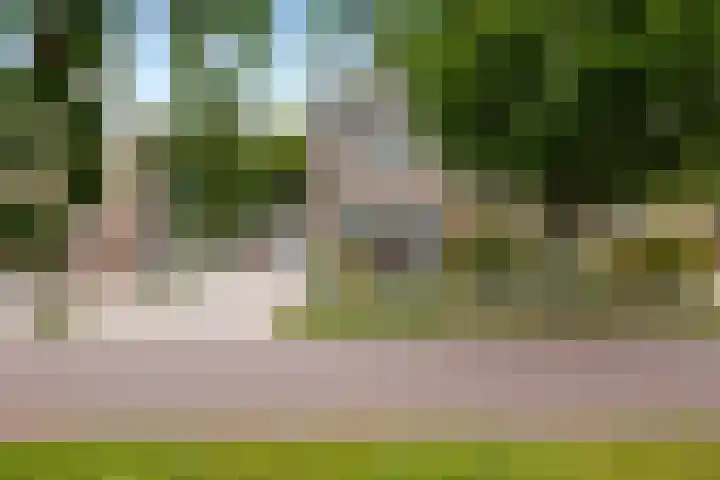 Dotterbloem 33 Scheemda thumbnail 34