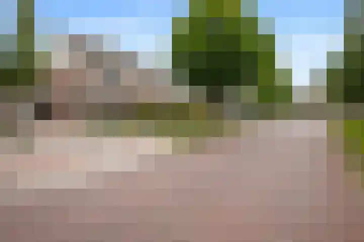 Dotterbloem 33 Scheemda thumbnail 35