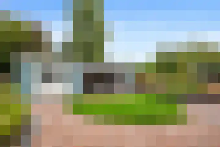 Dotterbloem 33 Scheemda thumbnail 5