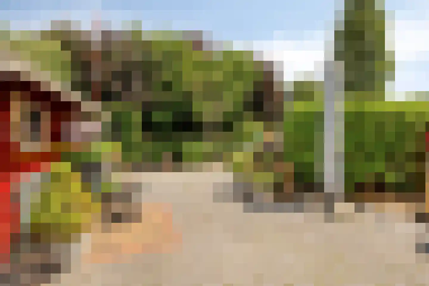 Dotterbloem 37 Scheemda thumbnail 36