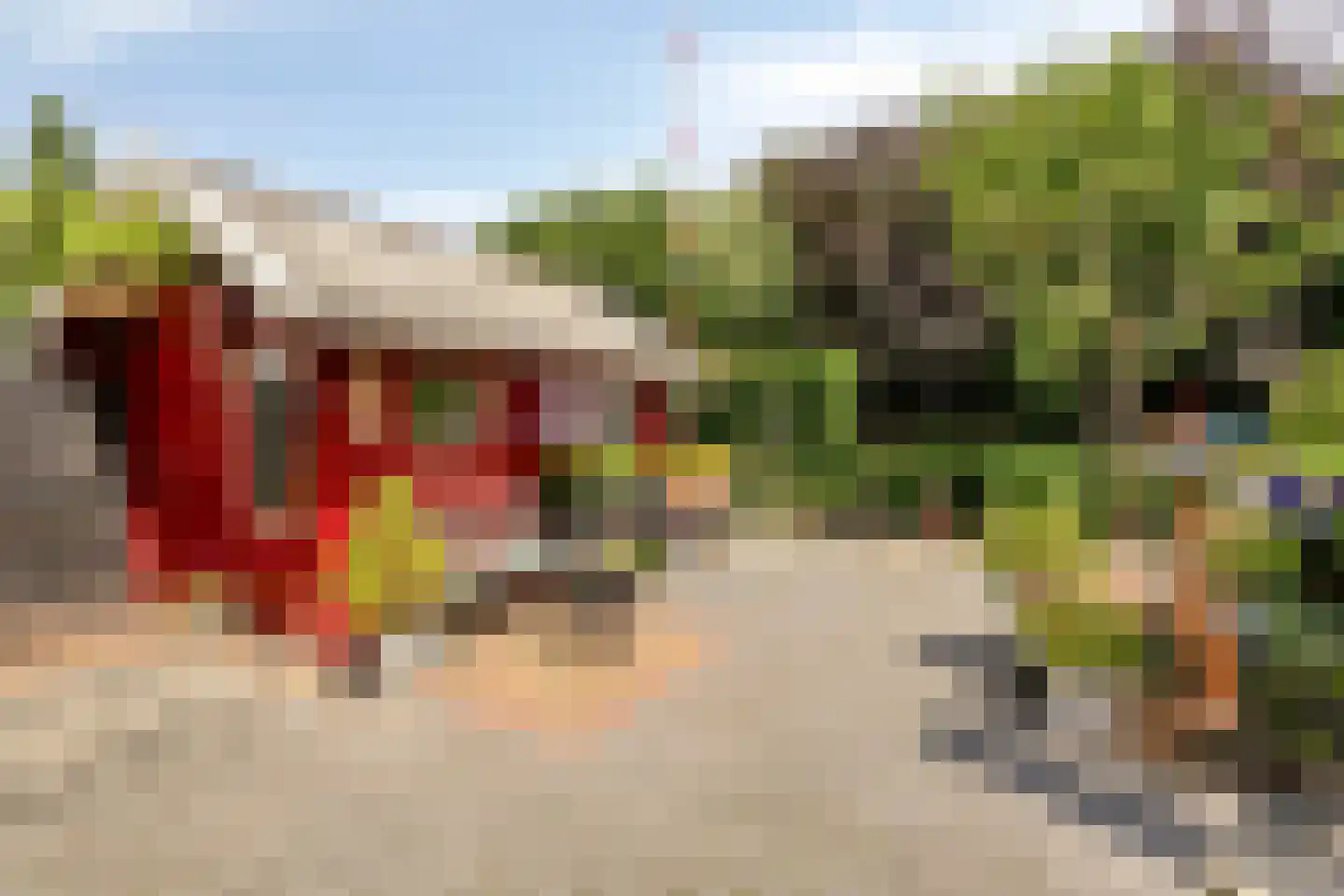 Dotterbloem 37 Scheemda thumbnail 37