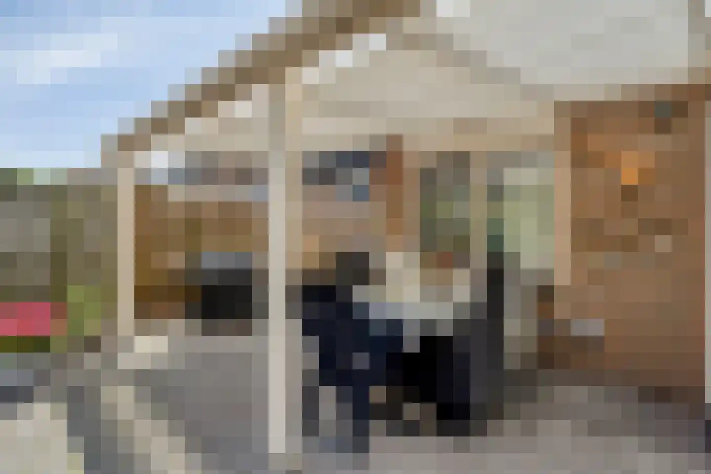 Dotterbloem 37 Scheemda thumbnail 39