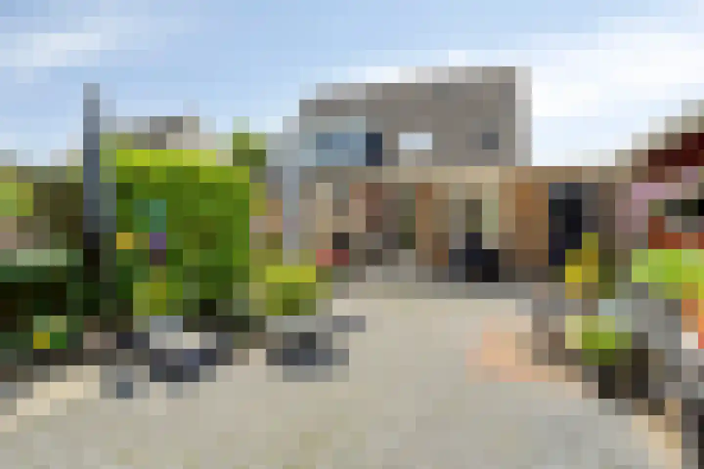 Dotterbloem 37 Scheemda thumbnail 41