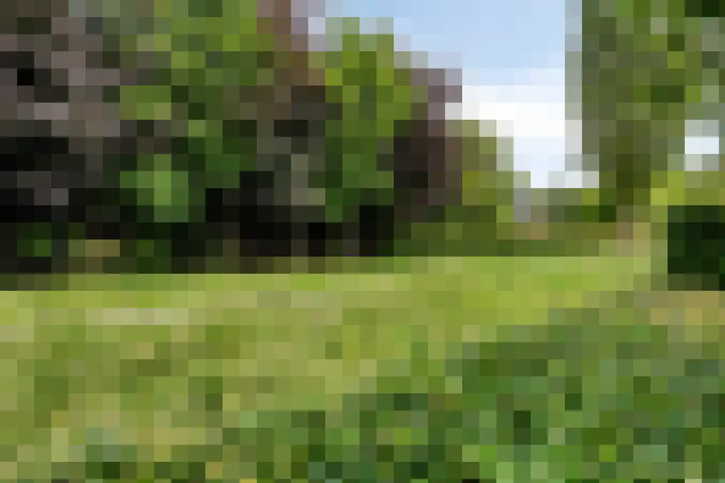Dotterbloem 37 Scheemda thumbnail 42