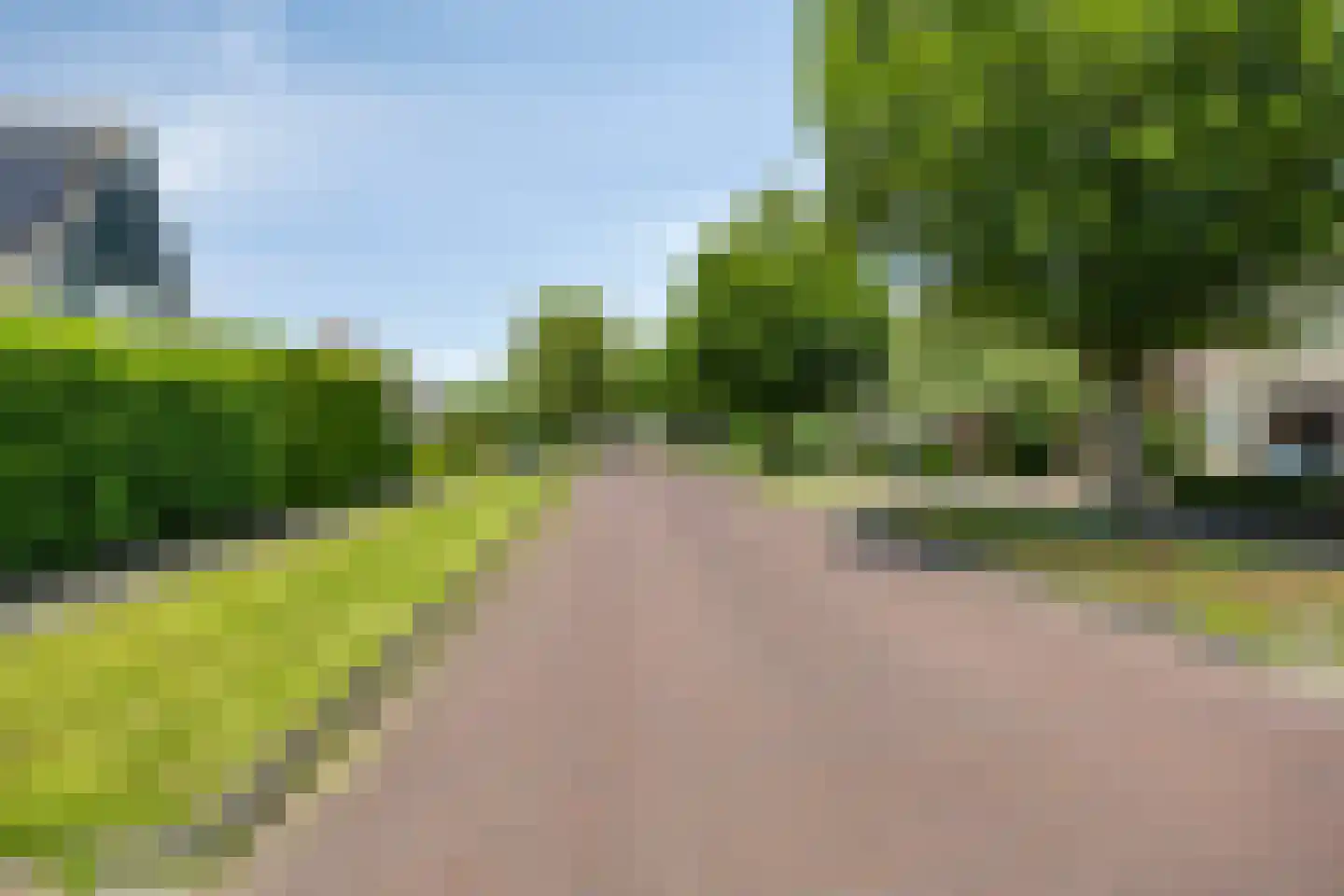 Dotterbloem 37 Scheemda thumbnail 43
