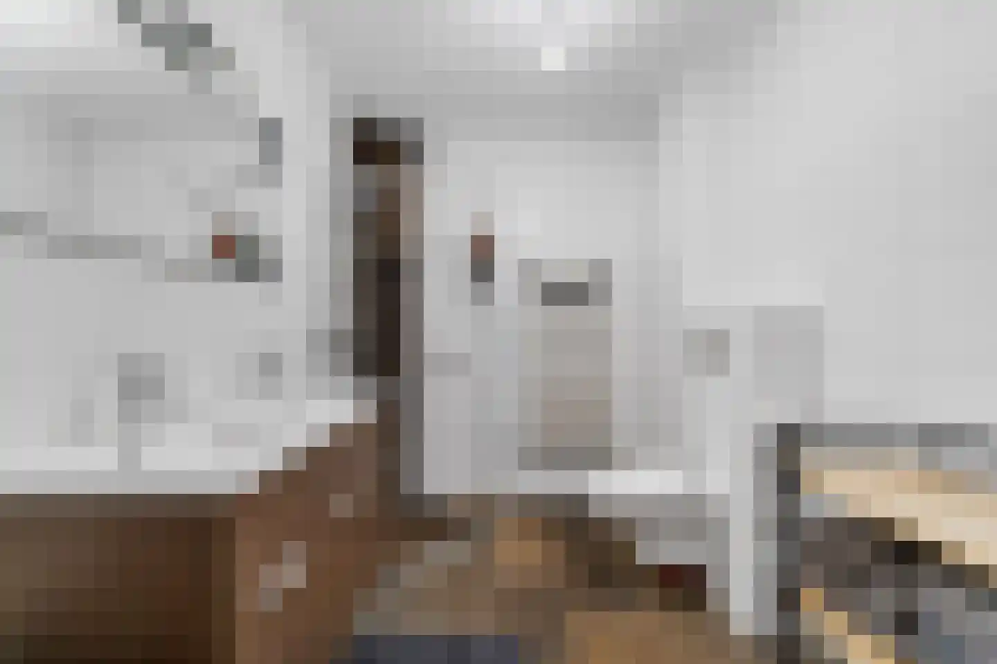 Dotterbloem 40 Zwolle thumbnail 15