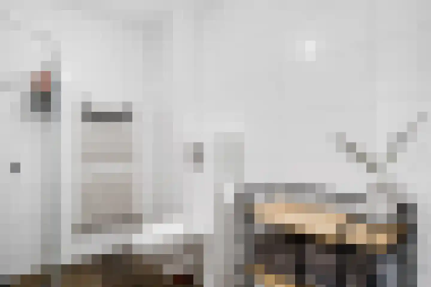 Dotterbloem 40 Zwolle thumbnail 17