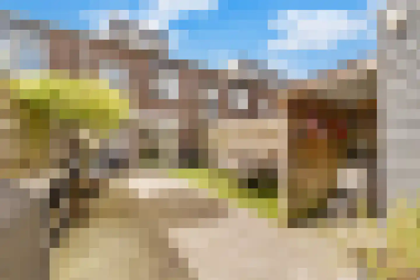 Dotterbloem 40 Zwolle thumbnail 26