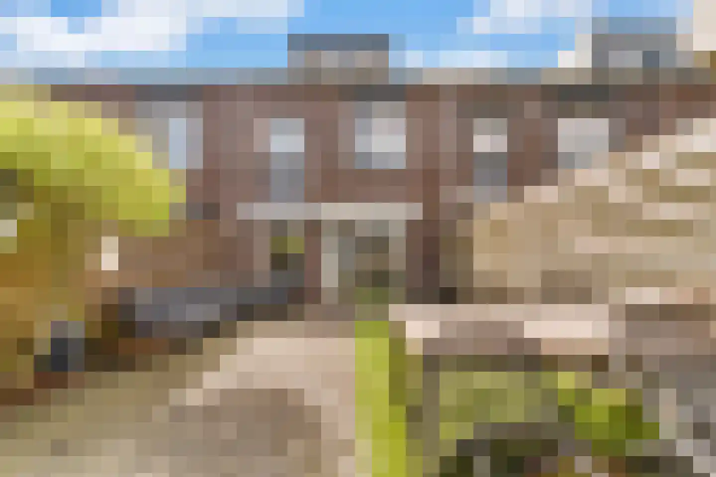 Dotterbloem 40 Zwolle thumbnail 27