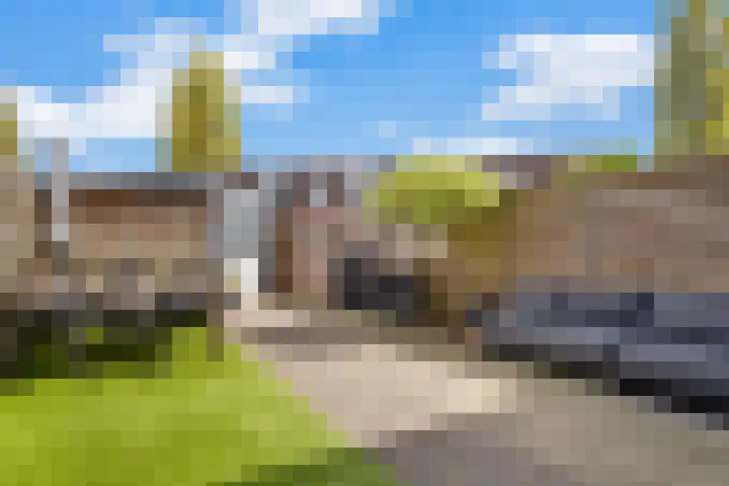 Dotterbloem 40 Zwolle thumbnail 28