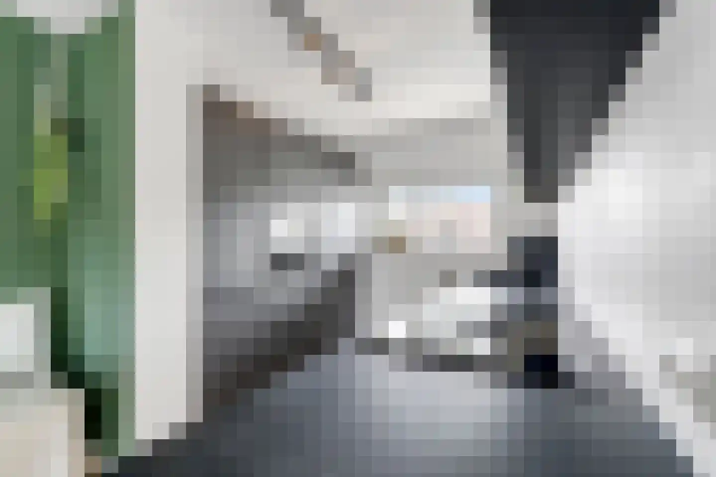 Dotterbloem 40 Zwolle thumbnail 9