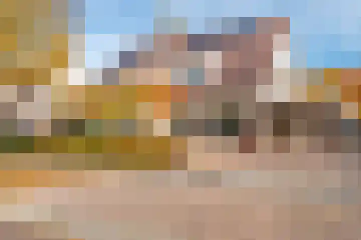 Dotterbloem 43 Scheemda