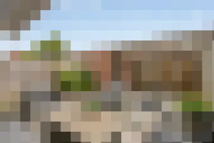 Dotterbloem 47 Oude Wetering thumbnail 15