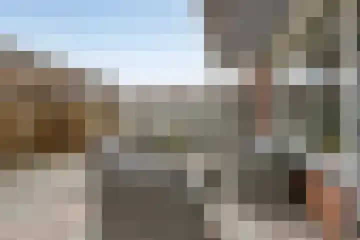 Dotterbloem 47 Oude Wetering thumbnail 17