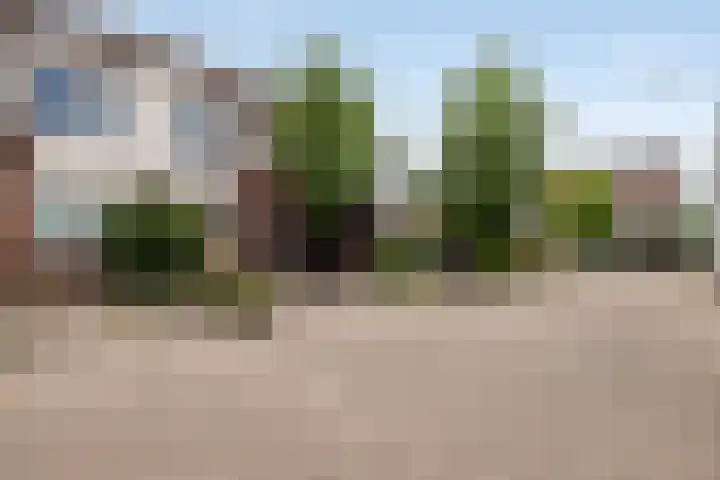 Dotterbloem 47 Oude Wetering thumbnail 19