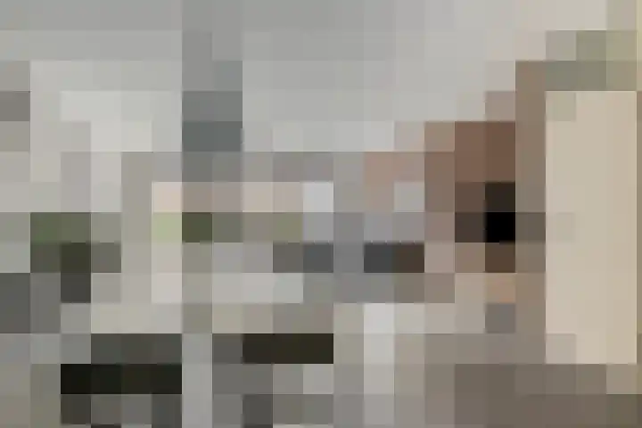 Dotterbloem 47 Oude Wetering thumbnail 4