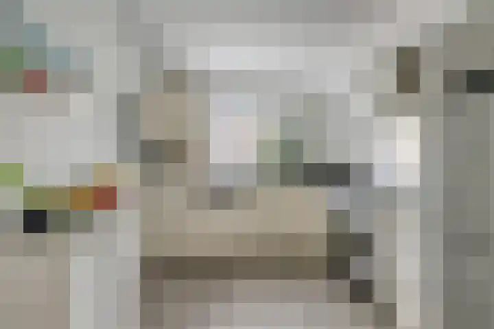 Dotterbloem 47 Oude Wetering thumbnail 6