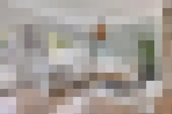Dotterbloem 52 Purmerend thumbnail 13