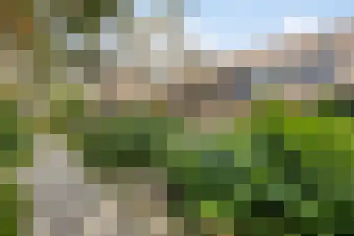 Dotterbloem 52 Purmerend thumbnail 31