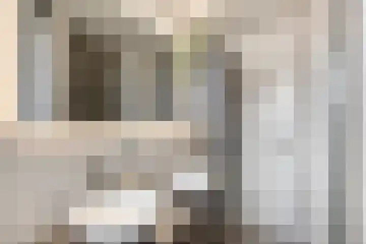 Dotterbloem 52 Purmerend thumbnail 5