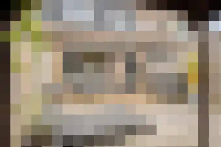 Dotterbloem 52 Purmerend thumbnail 6
