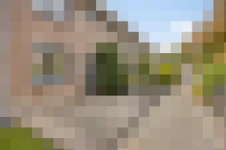 Dotterbloem 52 Purmerend thumbnail 7