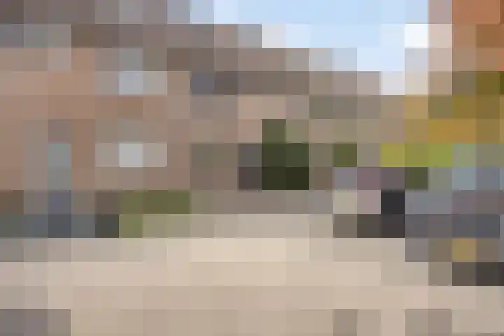 Dotterbloem 52 Purmerend thumbnail 8