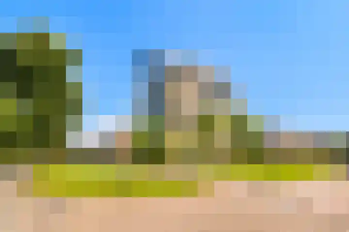 Dotterbloem 6 Velserbroek thumbnail 10