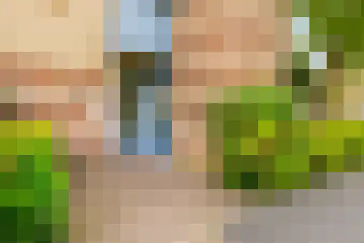 Dotterbloem 6 Velserbroek thumbnail 11